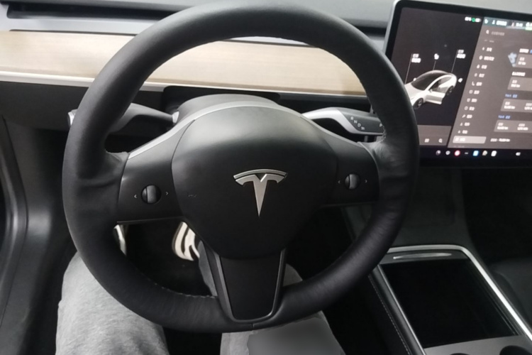 Tesla Model 3 2021 #11 Tesla Model 3 2021 car image #11