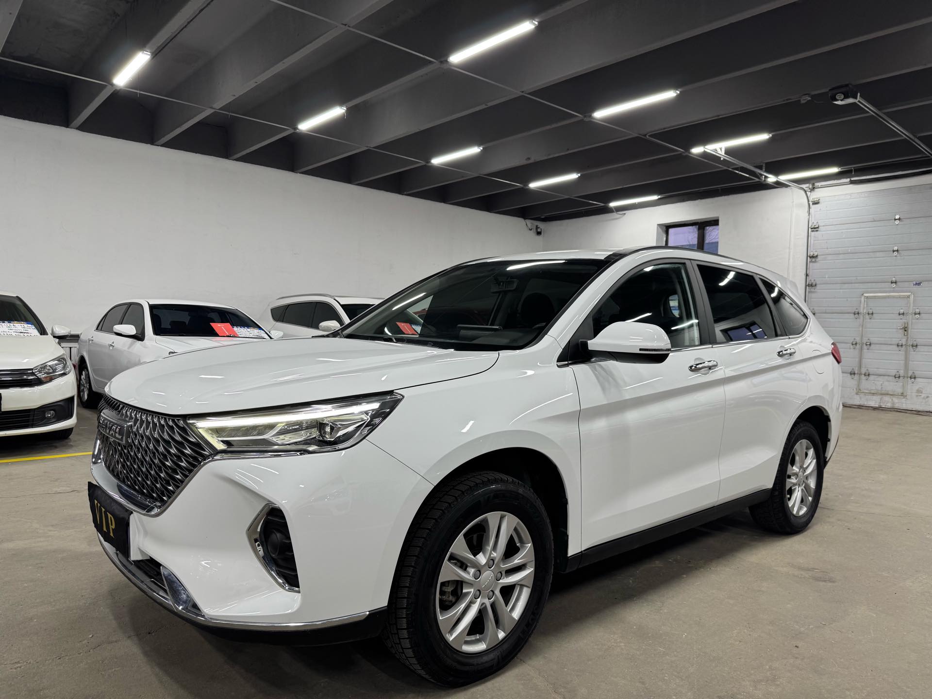 Haval M6 2023 汽车图片 