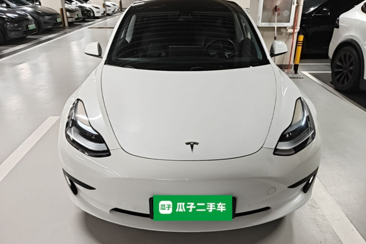 Tesla Model 3 2022 #3 Tesla Model 3 2022 car image #3
