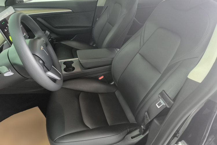 Tesla Model 3 2023 car image #15