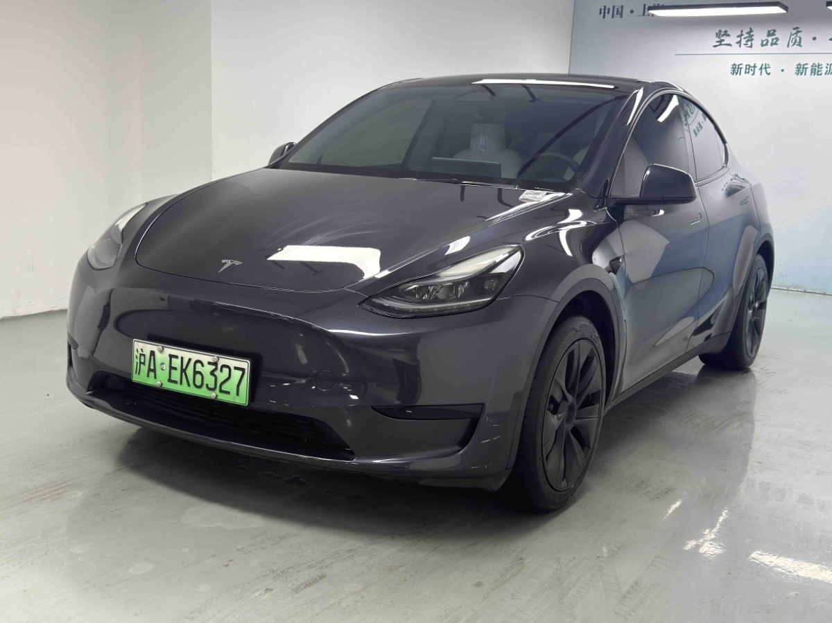 Tesla Model Y 2024 car image 