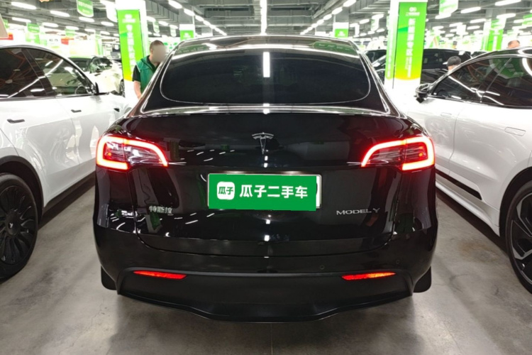 Tesla Model Y 2022 car image #6