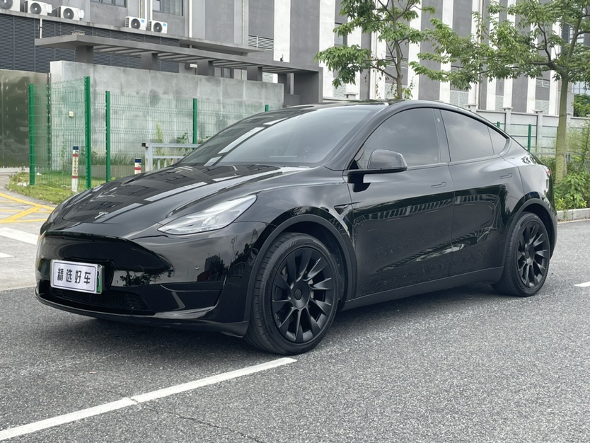 Tesla Model Y 2022 car image 