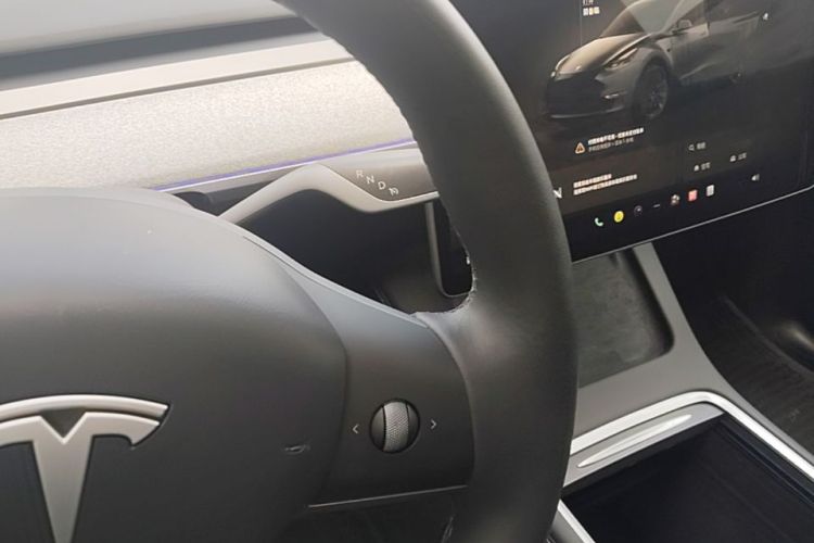 Tesla Model Y 2024 car image #14
