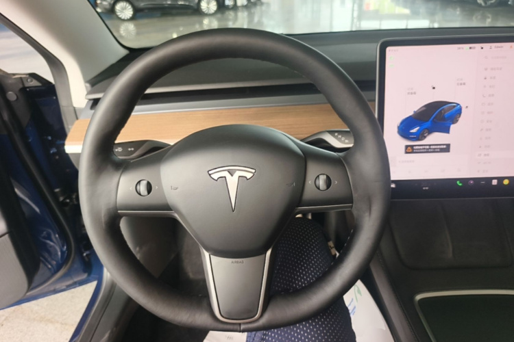 Tesla Model 3 2021 car image #11