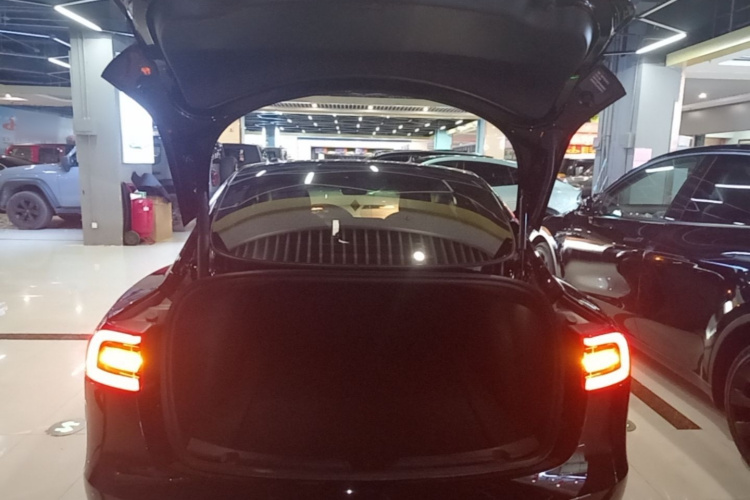 Tesla Model 3 2023 #19 Tesla Model 3 2023 immagine di auto #19