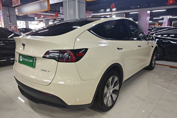 Tesla Model Y 2021 #5 Tesla Model Y 2021 car image #5