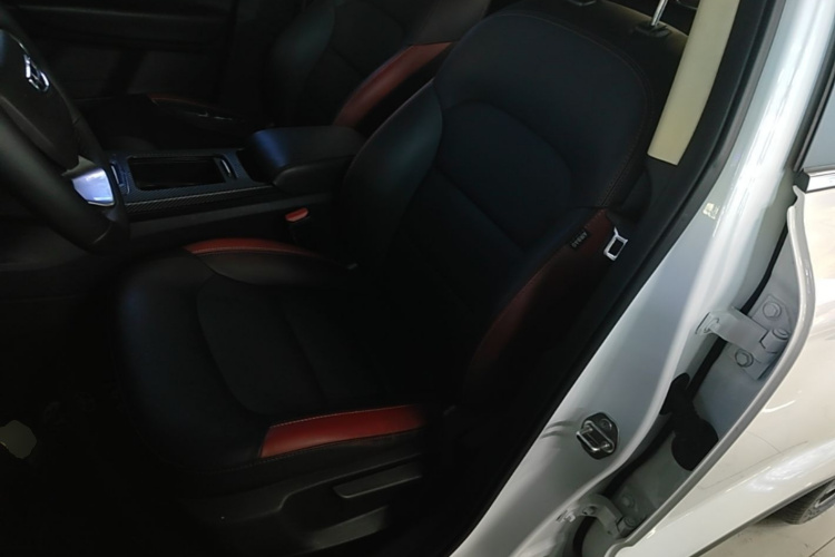 GEELY Emgrand GS 2020 car image #19