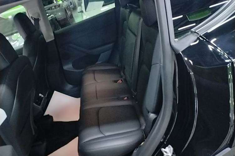 Tesla Model Y 2021 car image #17