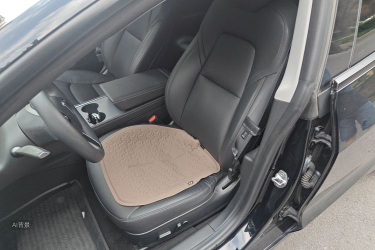 Tesla Model 3 2021 immagine di auto #17