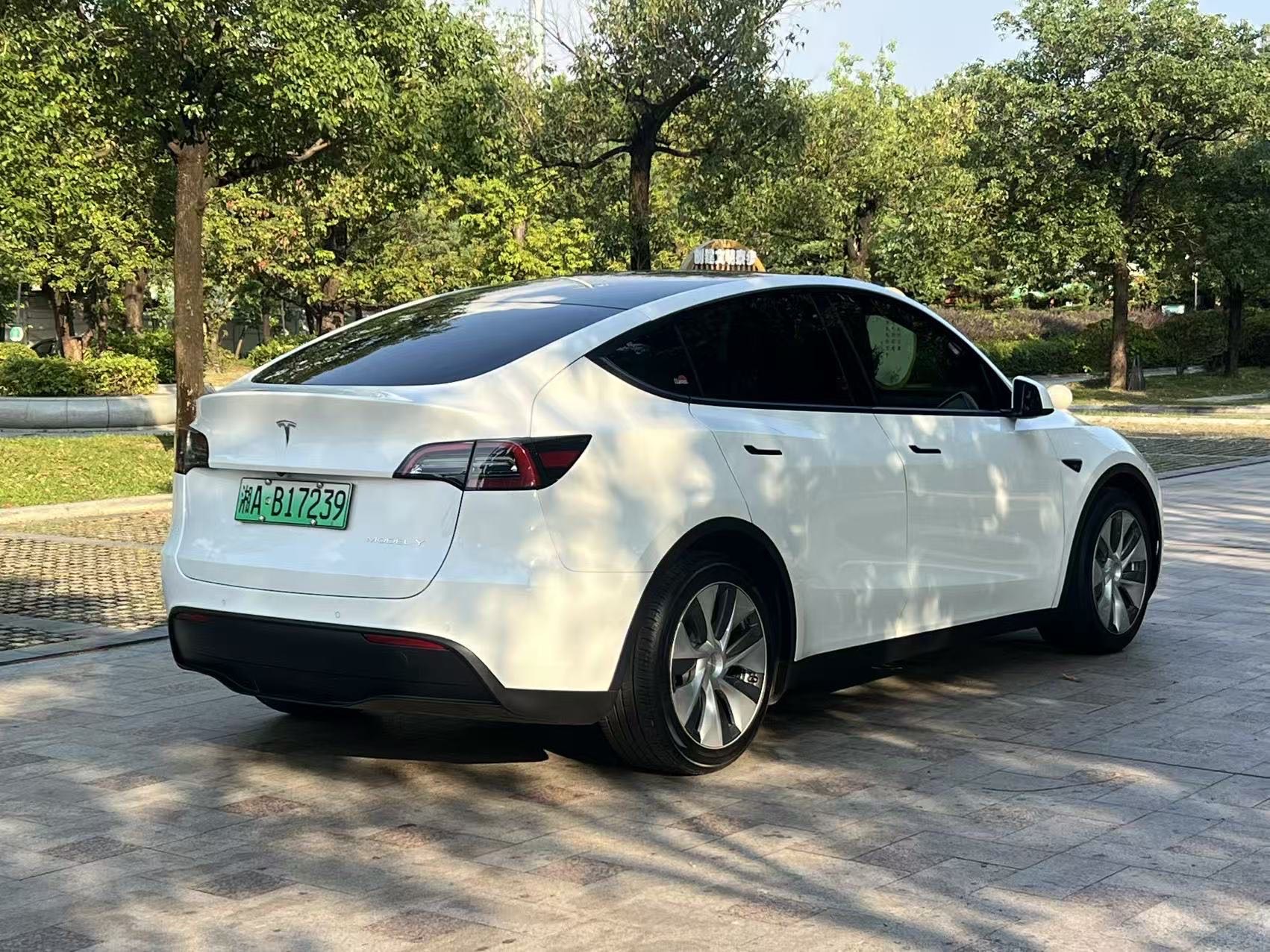 Tesla Model Y 2021 #8 Tesla Model Y 2021 car image #8