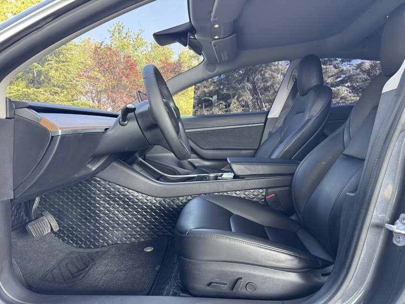Tesla Model 3 2020 car image #8