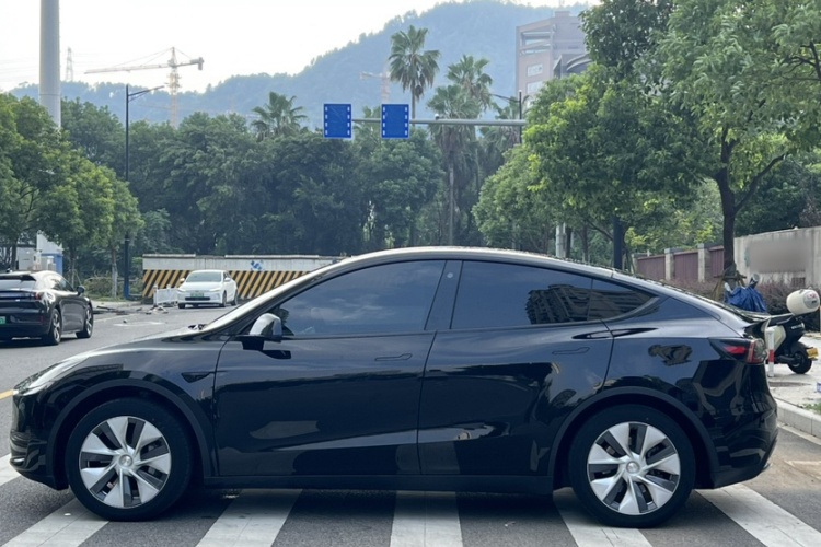 Tesla Model Y 2023 #5 Tesla Model Y 2023 car image #5