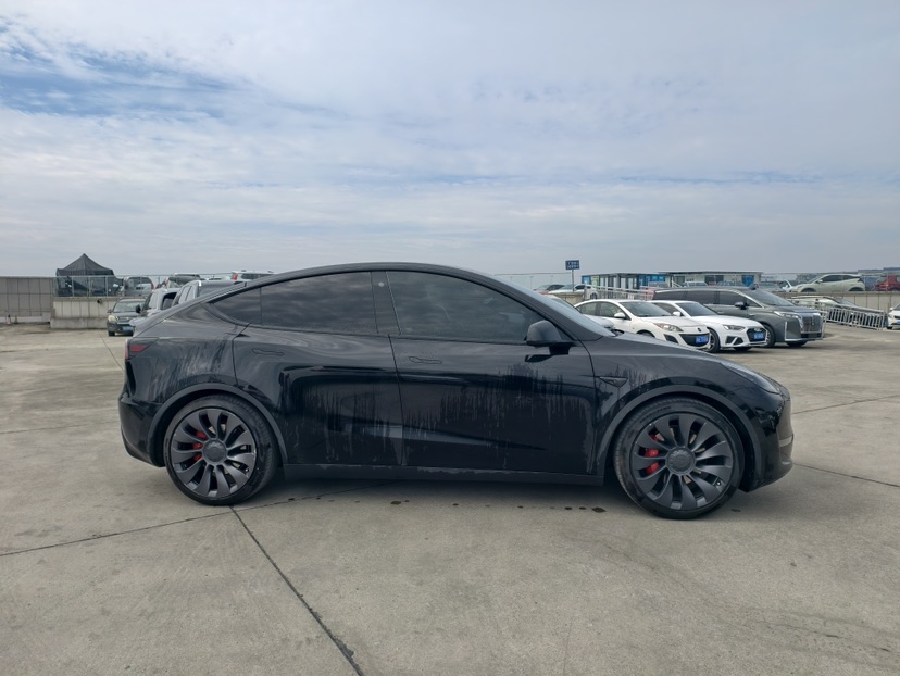 Tesla Model Y 2023 #4 Tesla Model Y 2023 car image #4
