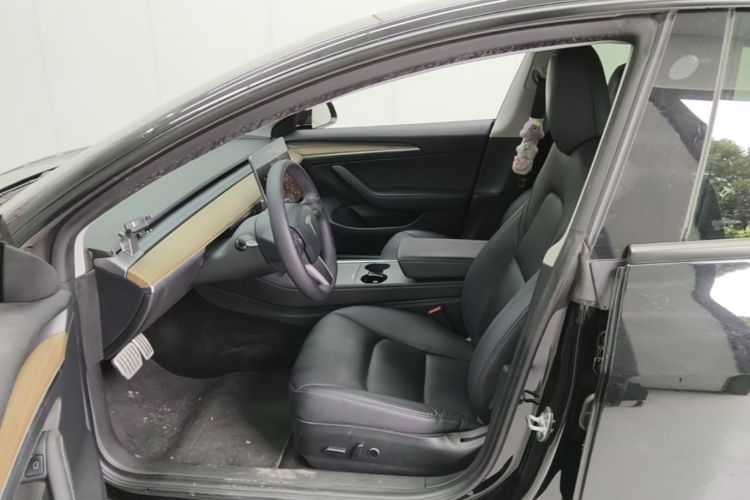 Tesla Model 3 2021 car image #19