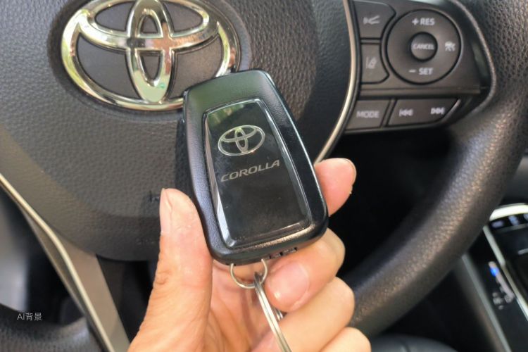 Toyota Corolla 2019 car image #10