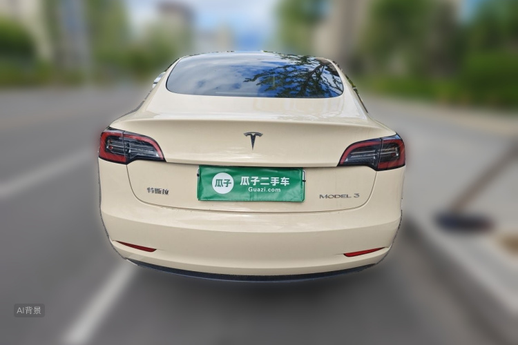 Tesla Model 3 2022 car image #6