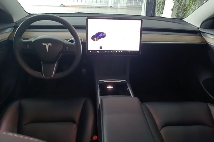 Tesla Model 3 2021 car image #10