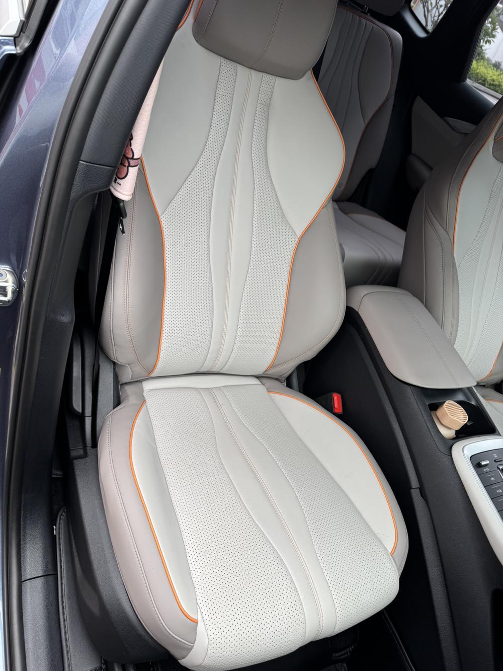 BYD Song Pro New Energy 2024 car image #24