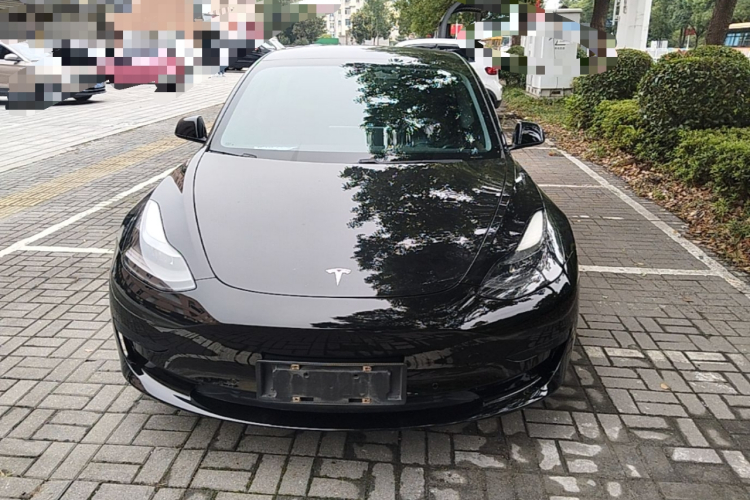 Tesla Model 3 2021 #3 Tesla Model 3 2021 car image #3
