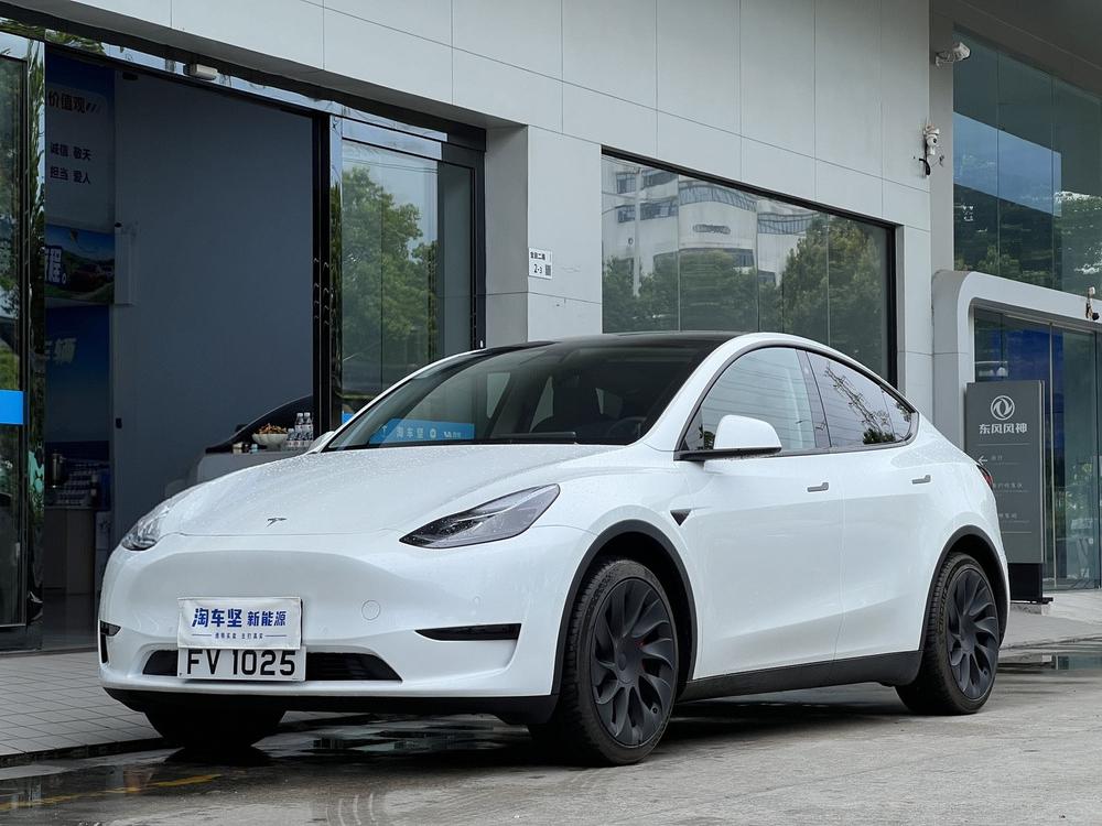 Tesla Model Y 2024 Tesla Model Y 2024 car image