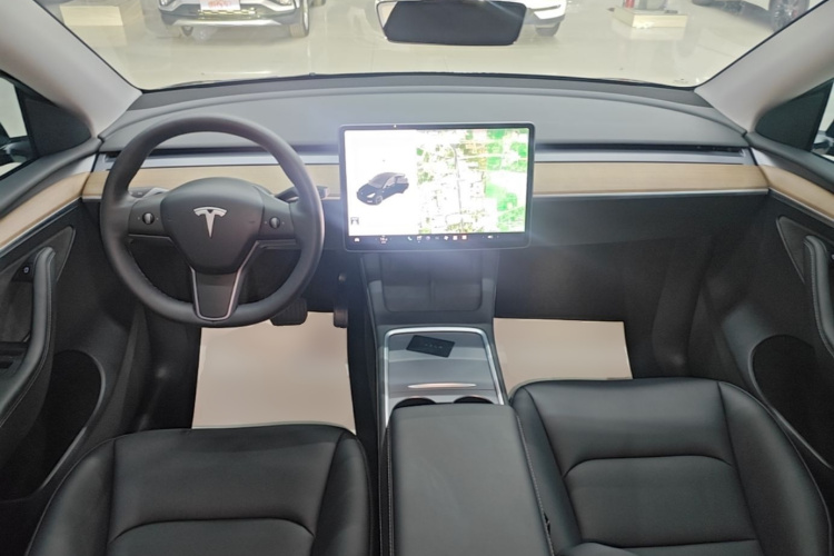Tesla Model Y 2021 car image #10
