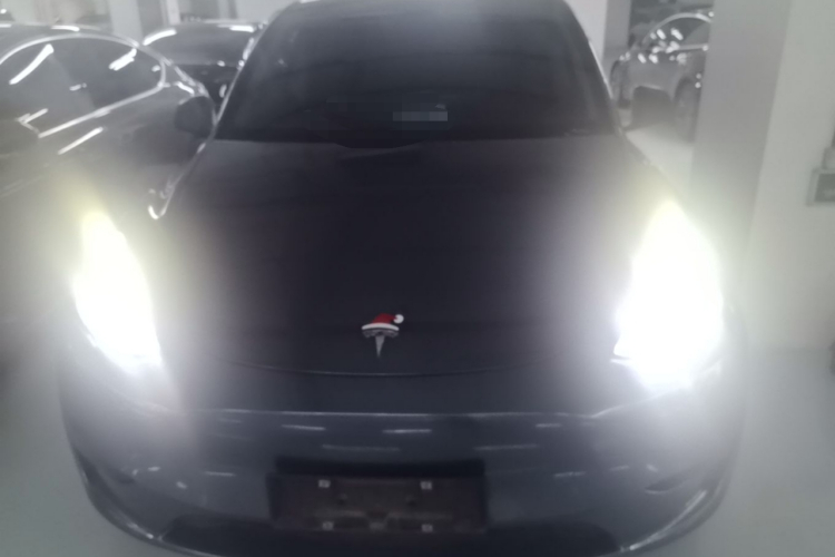 Tesla Model Y 2022 #3 Tesla Model Y 2022 car image #3
