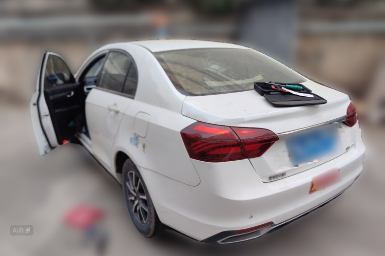 GEELY Emgrand 2019 car image #5