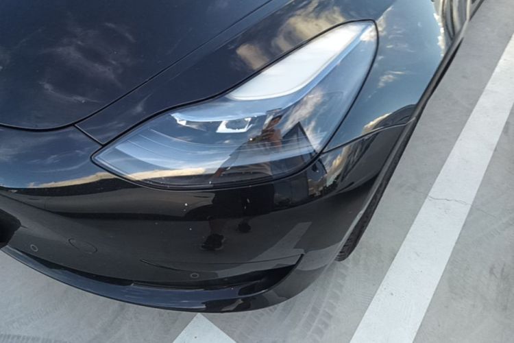 Tesla Model 3 2023 #23 Tesla Model 3 2023 car image #23
