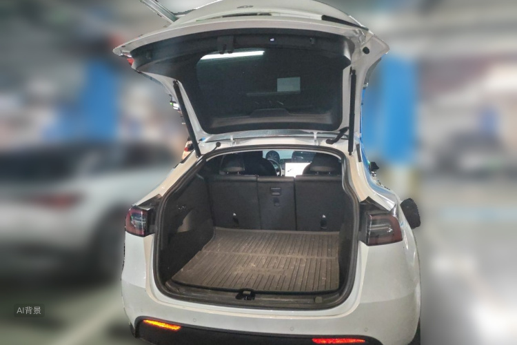 Tesla Model Y 2021 car image #21