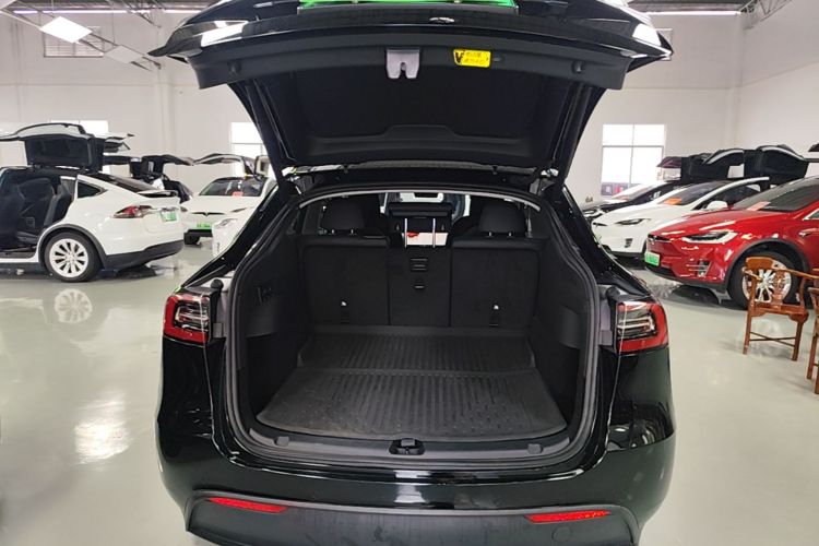 Tesla Model Y 2023 #19 Tesla Model Y 2023 car image #19