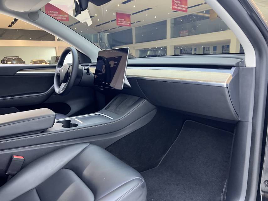 Tesla Model Y 2021 car image #6