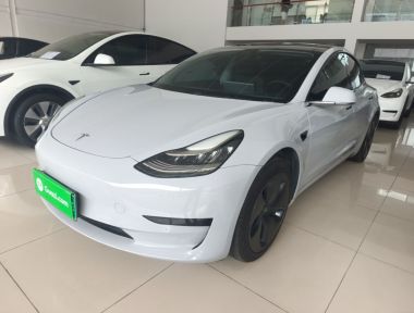 Tesla Model 3 2020 Tesla Model 3 2020 immagine di auto