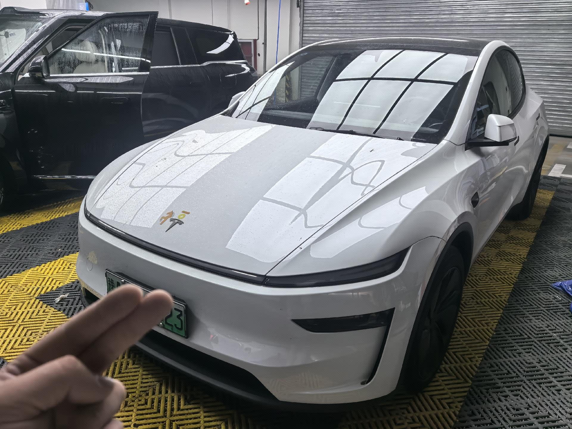 Tesla Model Y 2025 car image 