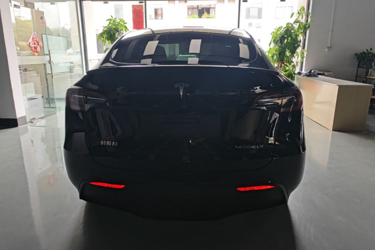 Tesla Model Y 2021 #6 Tesla Model Y 2021 car image #6