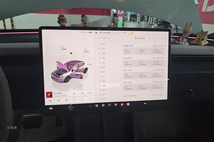 Tesla Model 3 2024 car image #13
