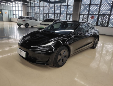 Tesla Model 3 2021 Tesla Model 3 2021 car image