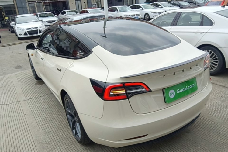 Tesla Model 3 2021 immagine di auto #5