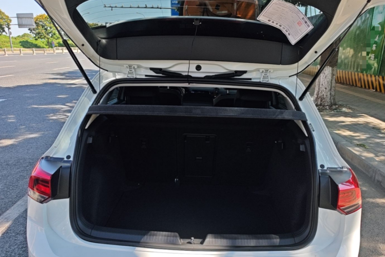 Volkswagen Golf 2022 car image #19