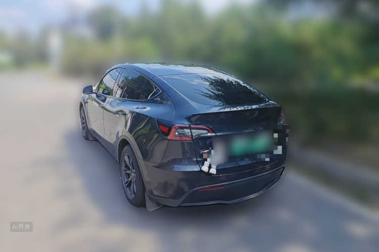 Tesla Model Y 2024 car image #5