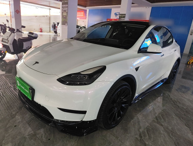Tesla Model Y 2023 Tesla Model Y 2023 car image