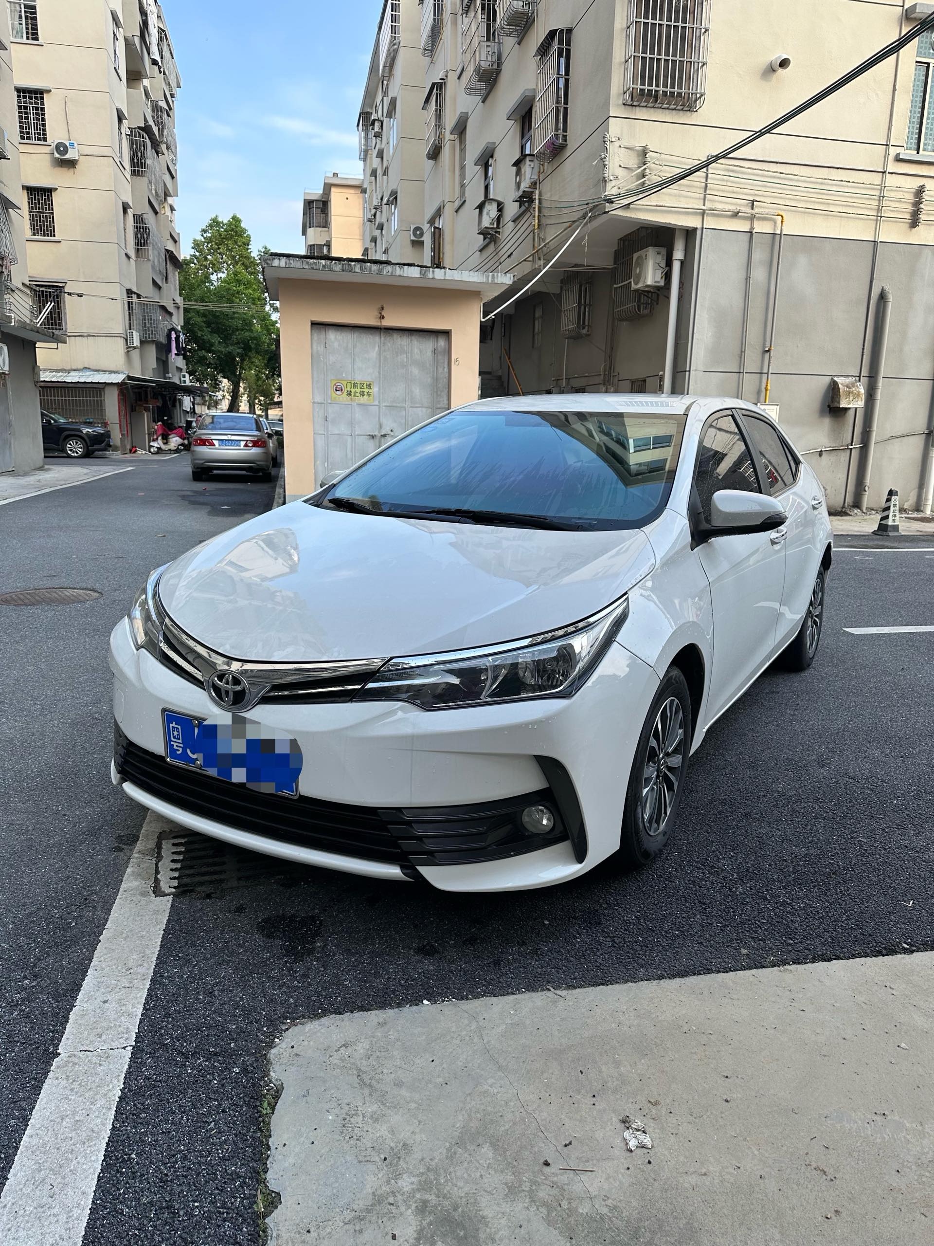 Toyota Corolla 2019 car image 