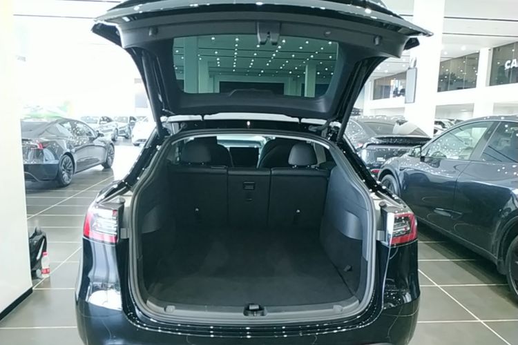 Tesla Model Y 2023 #19 Tesla Model Y 2023 car image #19