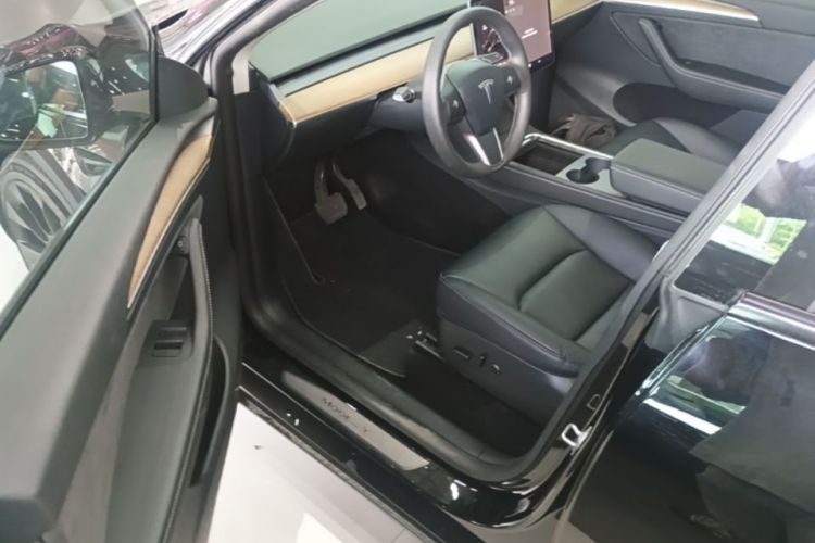 Tesla Model Y 2021 car image #12