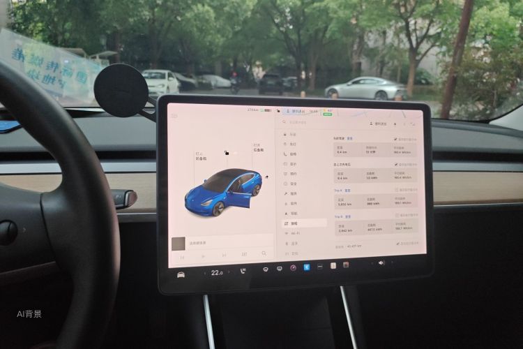 Tesla Model 3 2020 car image #13