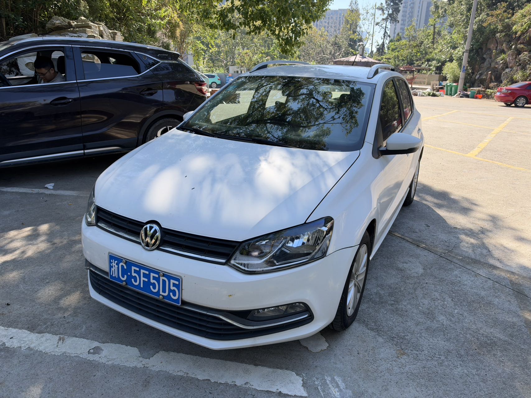 Volkswagen Polo 2014 car image 