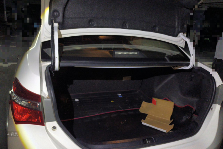 Toyota Corolla 2018 car image #21