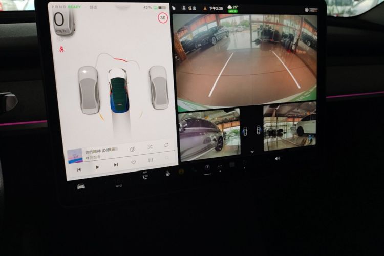 Tesla Model Y 2024 car image #13