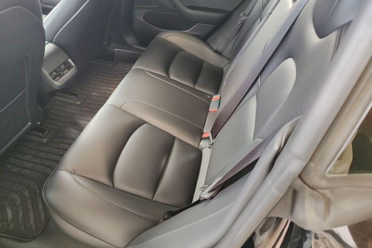Tesla Model 3 2020 car image #13