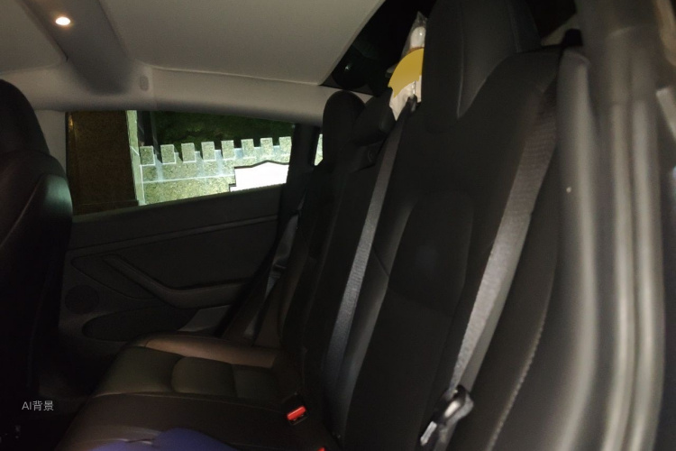 Tesla Model 3 2021 car image #19